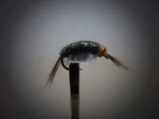 Size 12 Gammarus Bead Head Grey